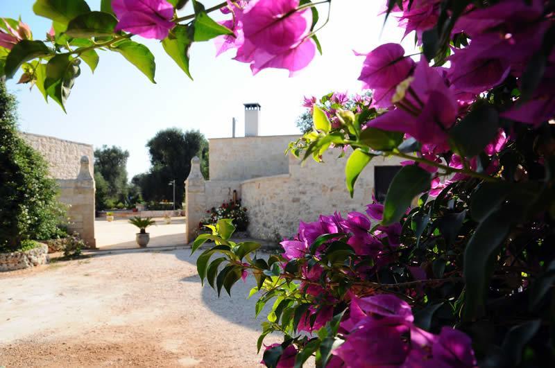 Tenuta Arcangelo เชจลีเมสซาปิกา ภายนอก รูปภาพ